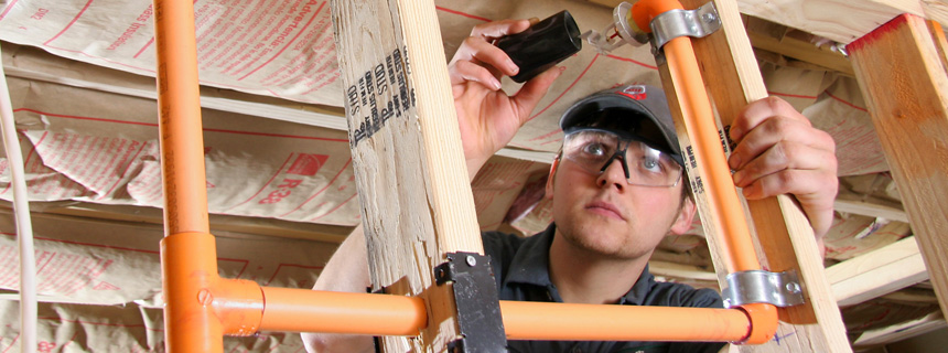 Cost-effective Solution Cost-effective Solution